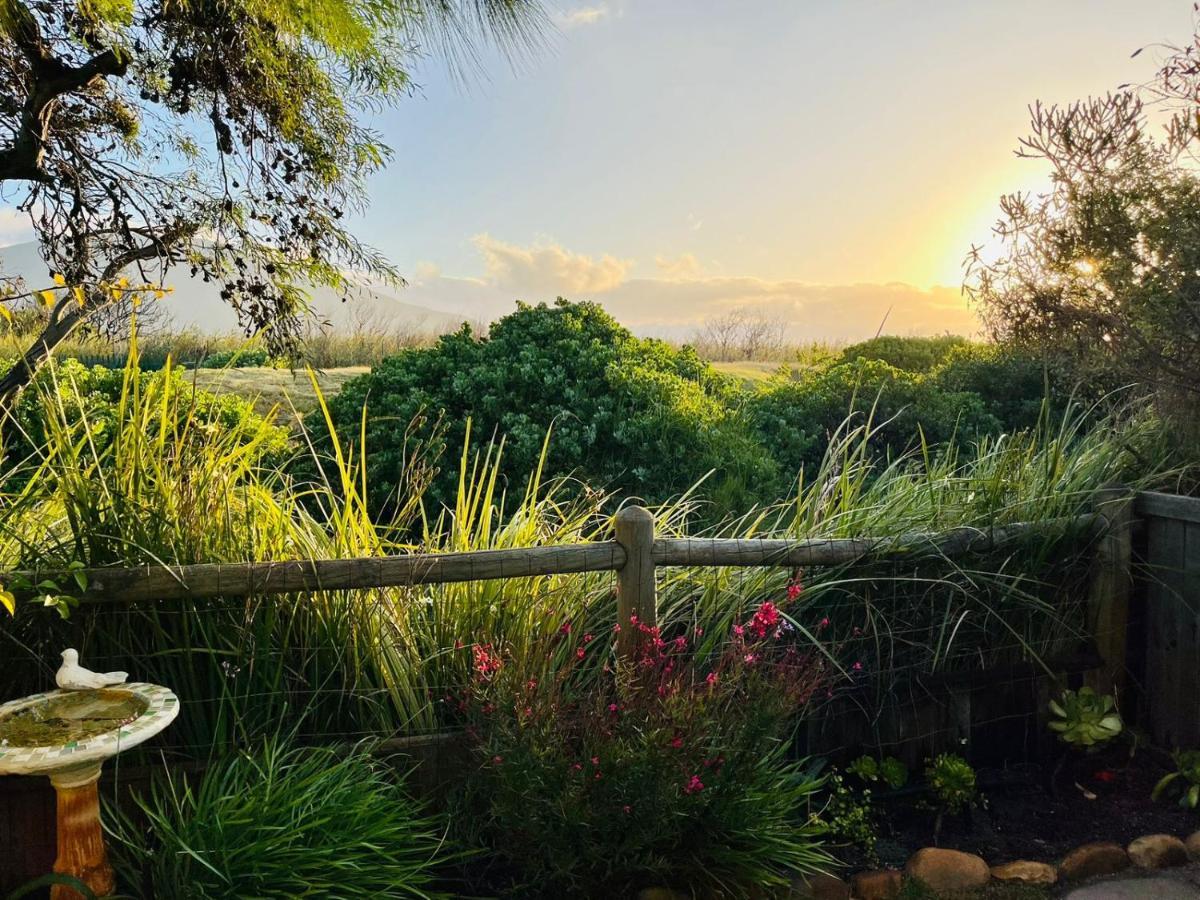 Sunbird Cottage Noordhoek Dış mekan fotoğraf