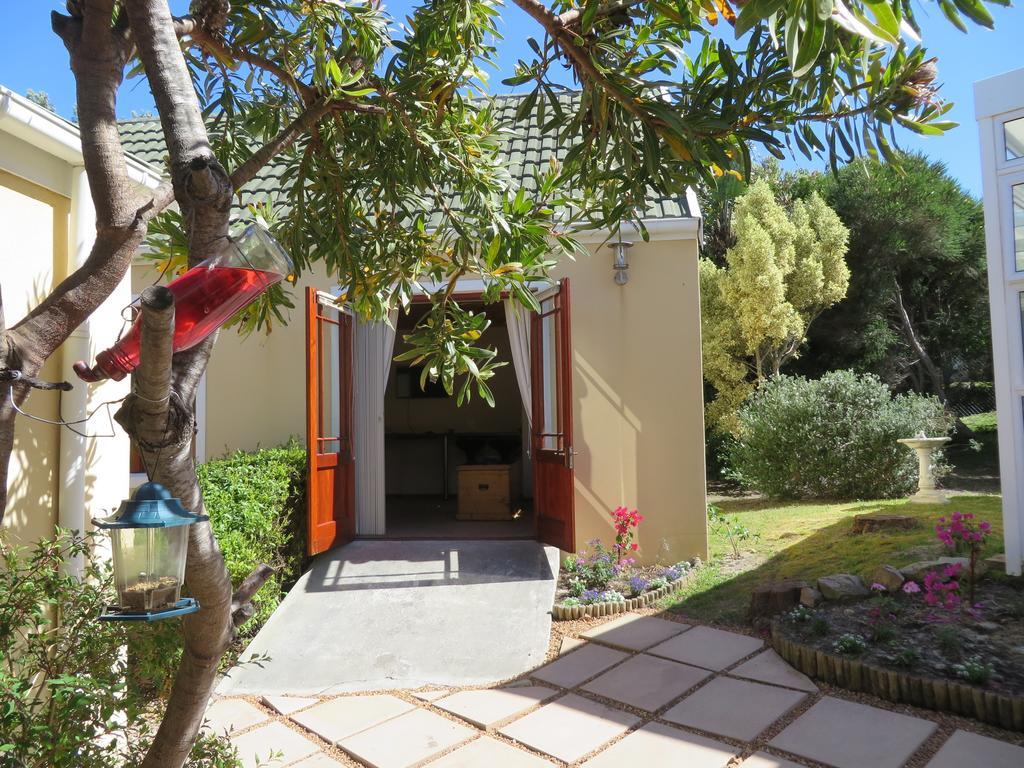 Sunbird Cottage Noordhoek Oda fotoğraf