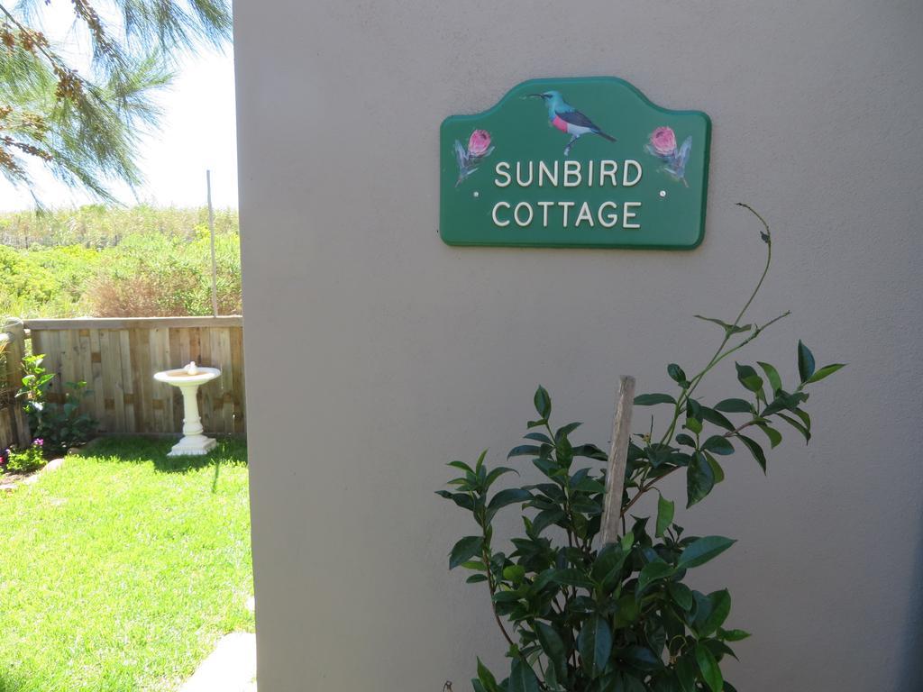 Sunbird Cottage Noordhoek Dış mekan fotoğraf