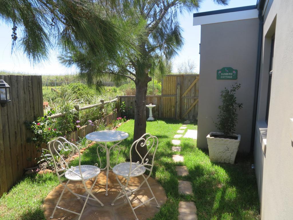 Sunbird Cottage Noordhoek Dış mekan fotoğraf