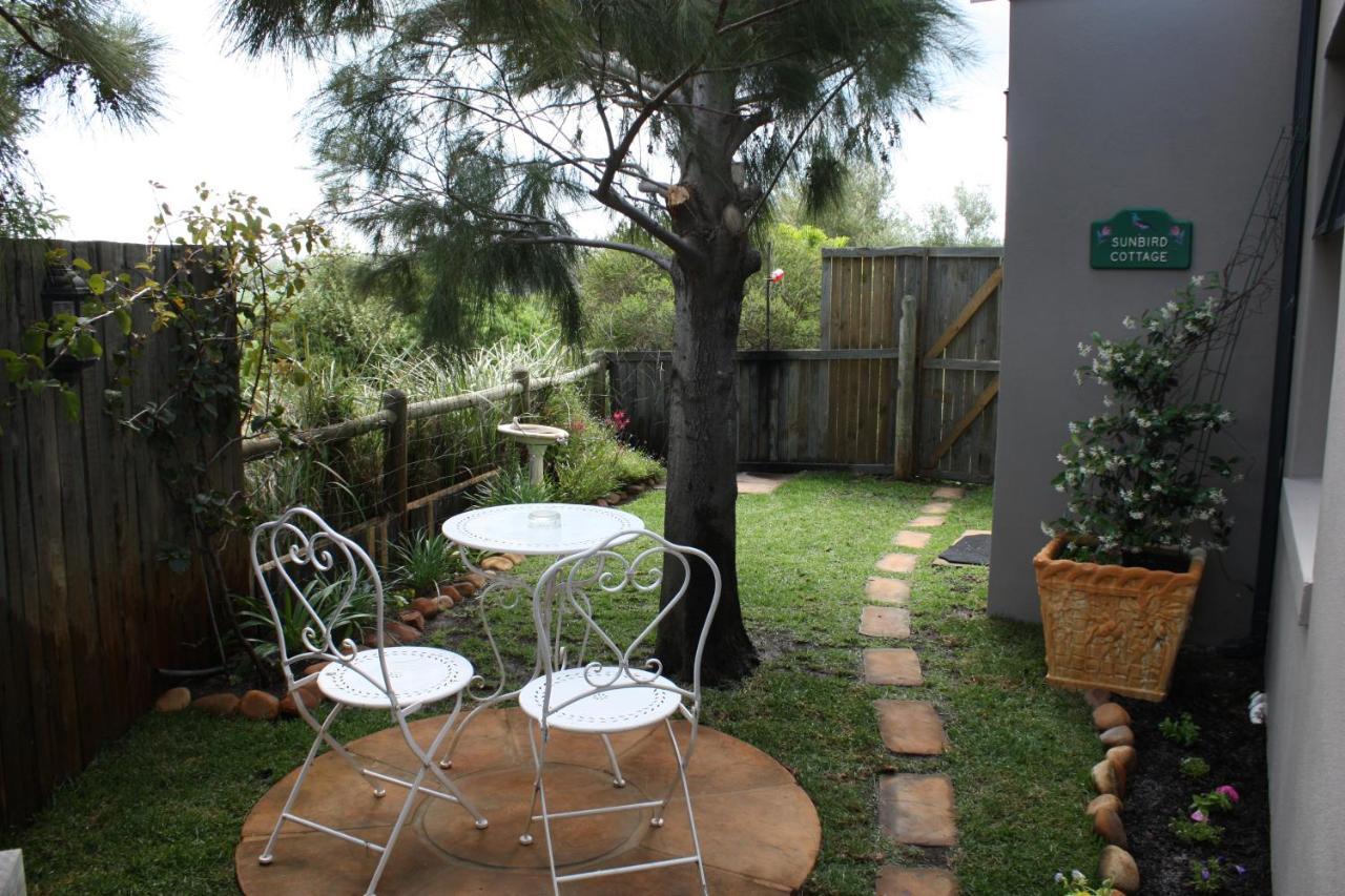 Sunbird Cottage Noordhoek Dış mekan fotoğraf